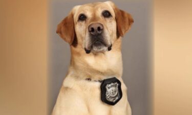 K9 Luke died Thursday