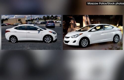 A 2011-2013 Hyundai Elantra was spotted "in the immediate area" of the off-campus home where the students were stabbed to death in the early morning hours of November 13