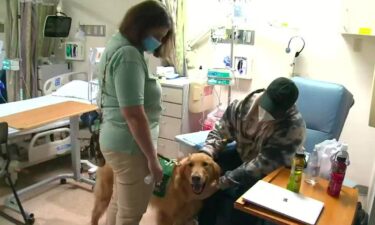 The 7th floor at the Siteman Cancer Center in the Central West End fills with smiles when dogs