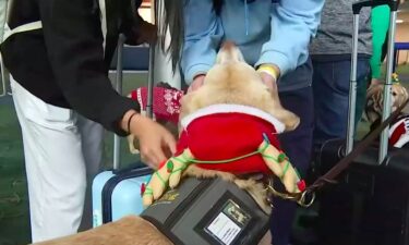 DoveLewis and their Portland Area Canine Therapy Teams (PACTT) made a stop at PDX Wednesday morning. PACTT is the only canine therapy program certified to visit the airport