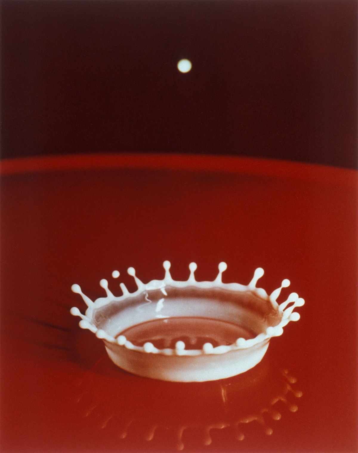 <i>Harold Edgerton/MIT; courtesy Palm Press</i><br/>Another of Edgerton's famous photos