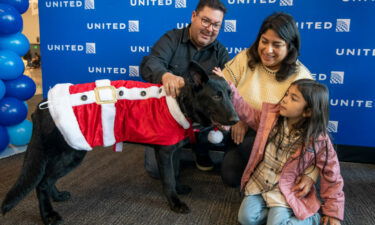 A dog abandoned at the San Francisco airport has found a forever home with a United Airlines captain