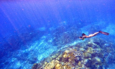 Former Christmas Island resident Sook Yee Lai goes for a dive in Flying Fish Cove.