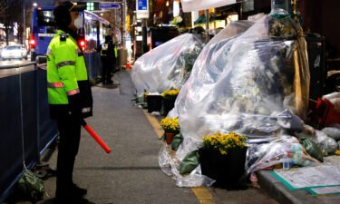 Two former police officers were arrested in South Korea accused of destroying evidence relating to the deadly Halloween crowd crush in Seoul