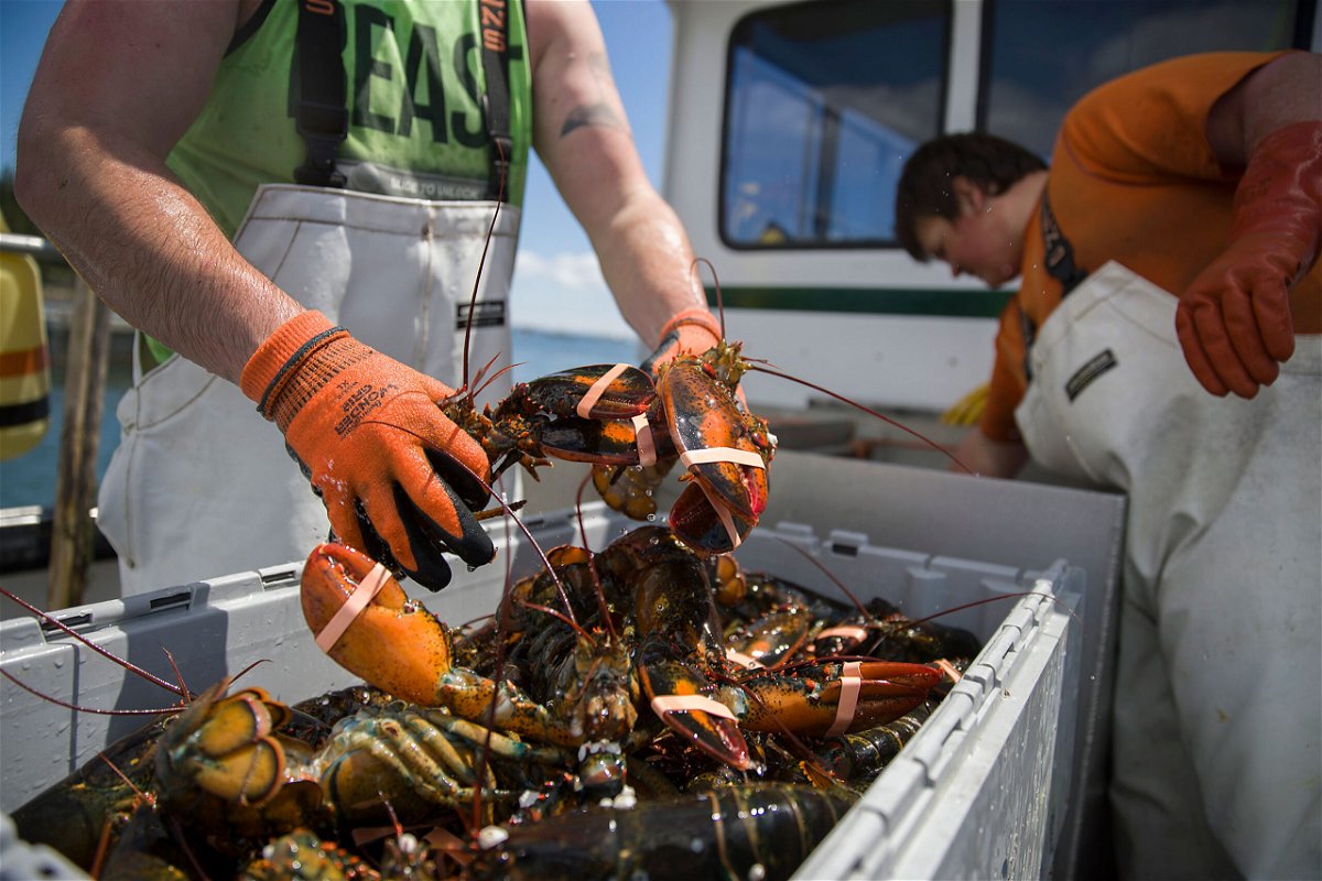 <i>Joe Raedle/Getty Images</i><br/>Lobstermen and women could be thrown a lifeline from the annual federal spending bill.