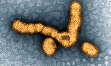 Researchers make important progress toward a possible universal flu vaccine. In 2009