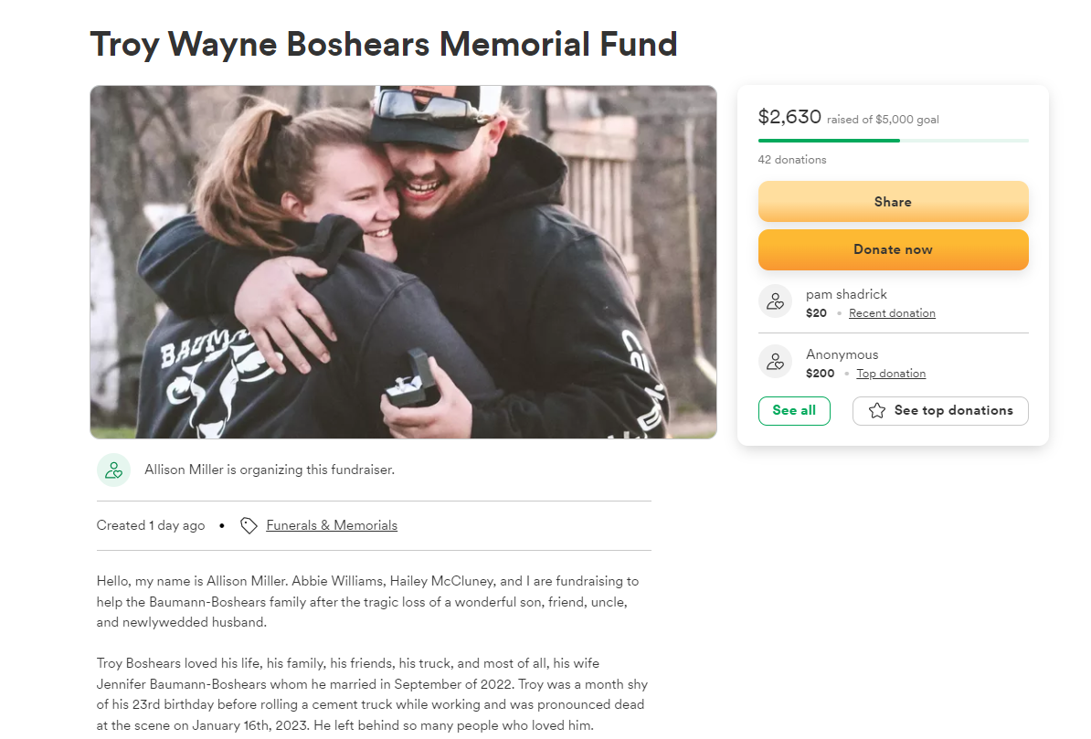 A screenshot of the online fundraiser.