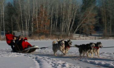 Even in the ice and cold there's a team near Monticello that's always ready to work their tails off. Silent Run Adventures is a dog sledding team that got off to a unique start.