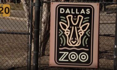 Several incidents at the Dallas Zoo in recent weeks have officials concerned.