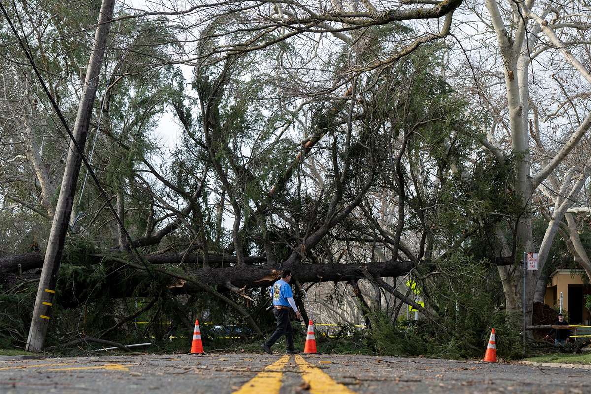 <i>Sara Nevis/AP</i><br/>A downed tree blocks H Street in Sacramento