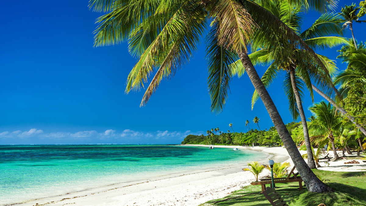 <i>Martin Valigursky/Adobe Stock</i><br/>Palm trees on a white sandy beach at Plantation Island