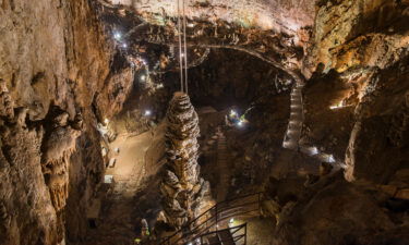 The Grotta Gigante is one of the world's largest tourist caverns.