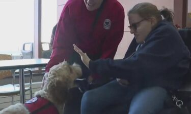 Students at Oakland Community College got some TLC Monday in the form of puppy love.