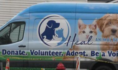 Heal Animal Rescue in Westmoreland County needs help tracking down whoever's behind a horrific case of animal abuse.