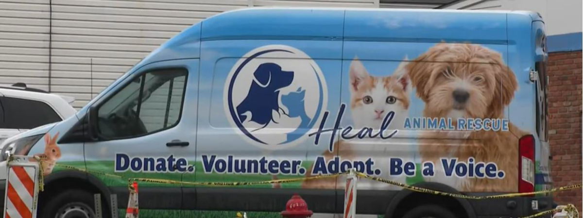 <i></i><br/>Heal Animal Rescue in Westmoreland County needs help tracking down whoever's behind a horrific case of animal abuse.