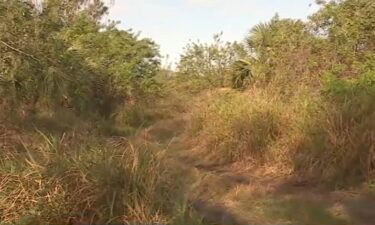 People close to missing Lyft driver Gary Levin are waiting for answers after human remains were found in Okeechobee