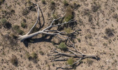 In an aerial view