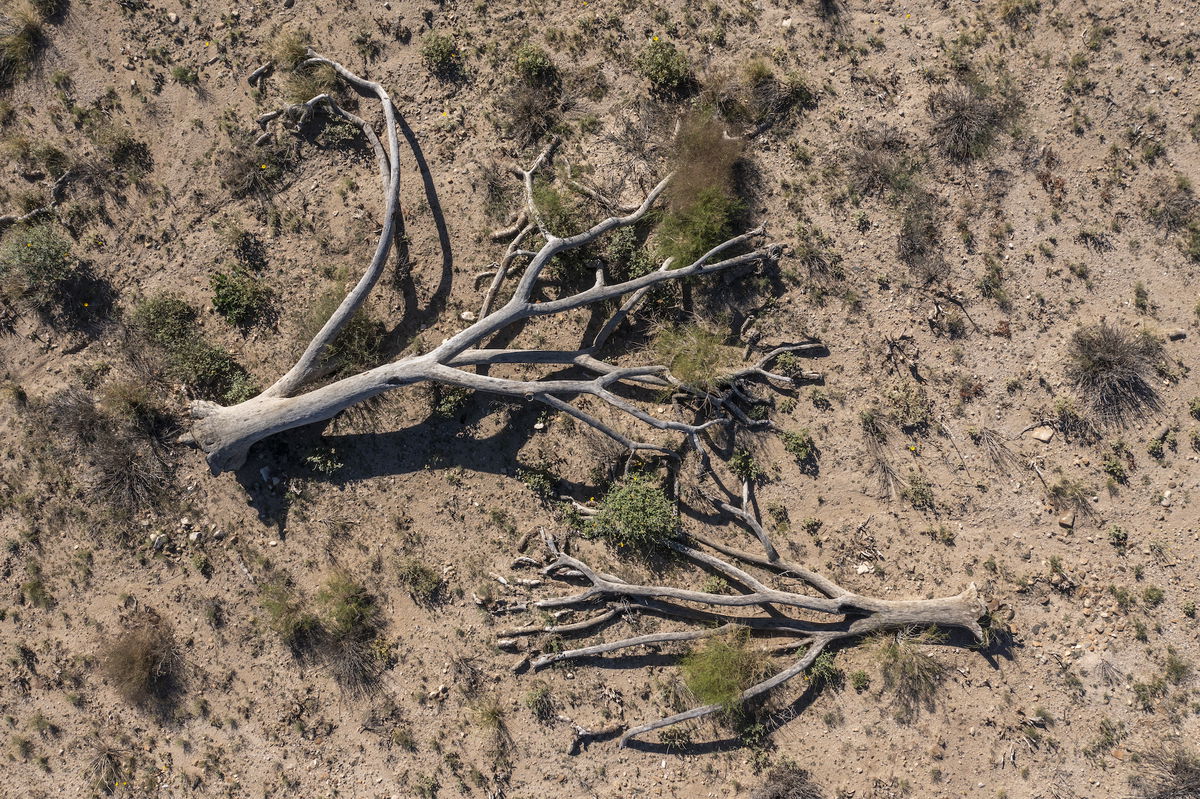 <i>David McNew/Getty Images</i><br/>In an aerial view