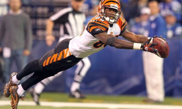 Johnson of the Cincinnati Bengals reaches for a pass on November 14
