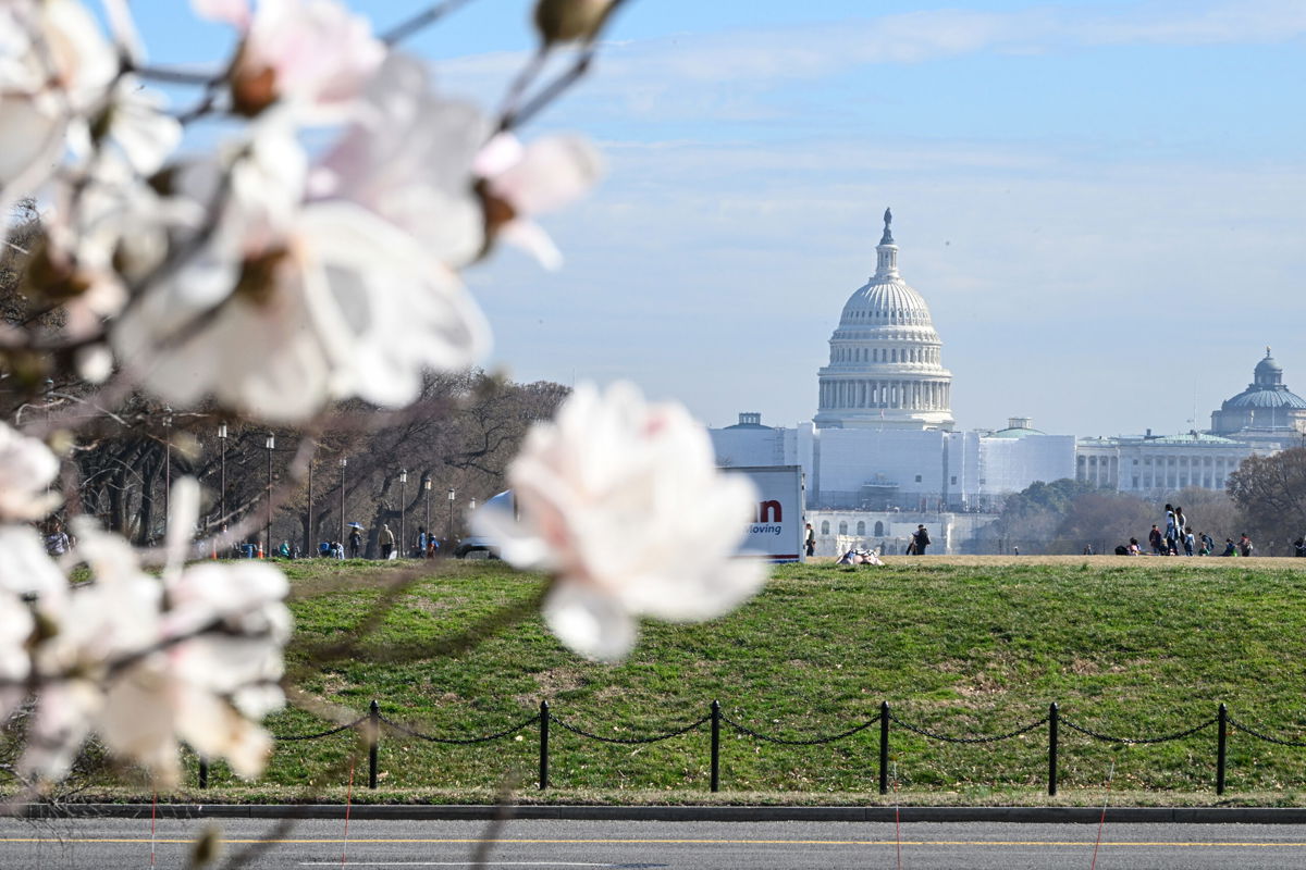 <i>Celal Gunes/Anadolu Agency/Getty Images</i><br/>In some warmer parts of DC