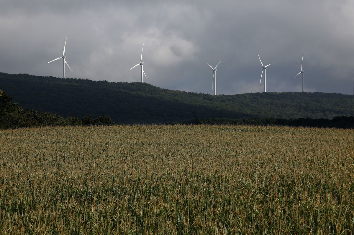 <i>Chip Somodevilla/Getty Images</i><br/>Wind turbines stand along Backbone Mountain in the US state of Maryland. The 70-megawatt wind farm runs along eight miles of the mountain ridge.