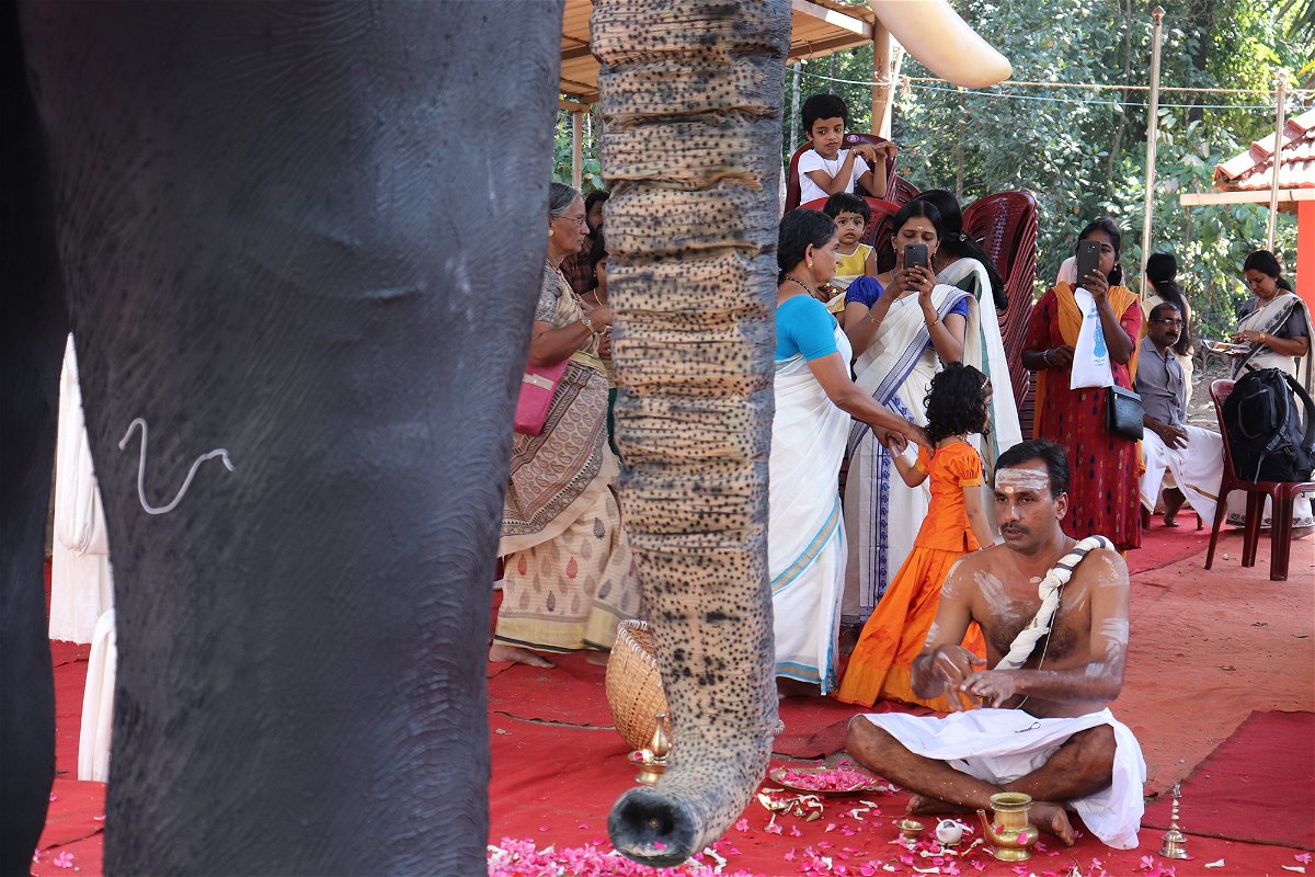 <i>PETA India</i><br/>The elephant will be used to perform religious ceremonies in place of live animals.