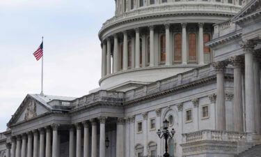 View of the US Capitol in Washington