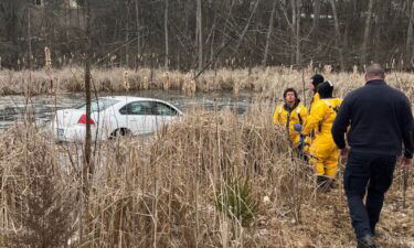 The Grand Blanc Township Police Department rescued a woman after she crashed into a pond on March 2.