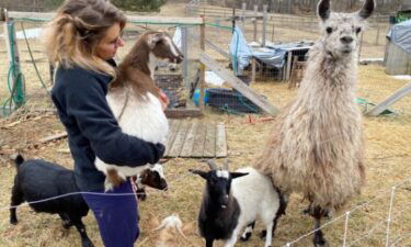 On Andrea Lange’s farm