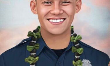 New nonprofit hopes to honor Maui firefighter