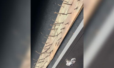 A DeKalb County official said hidden traps