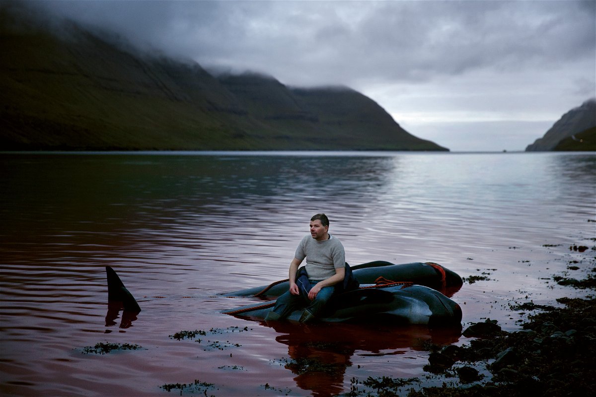 <i>Andrea Gjestvang/GOST Books</i><br/>Faroe Islander Fróði rests on the carcass of a pilot whale after a 