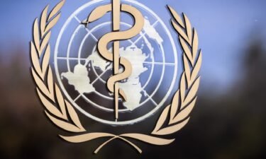 Advisers to the World Health Organization will consider next month whether to add liraglutide