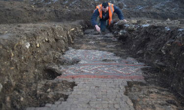 A member of the team cleaning the borders of the mosaic.