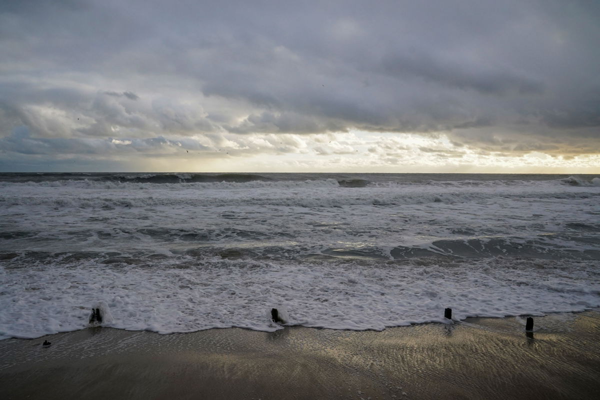 <i>Jahi Chikwendiu/The Washington Post/Getty Images</i><br/>A 13-foot long great white shark named Breton was recently tracked off the Outer Banks of North Carolina.