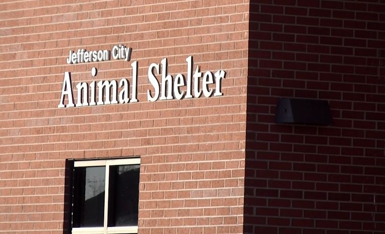 The Jefferson City Animal Shelter