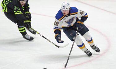 Video St. Louis Blues hockey player collapses during game - ABC News