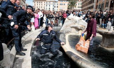 A police officer enters the fountain to remove an environmental activist.