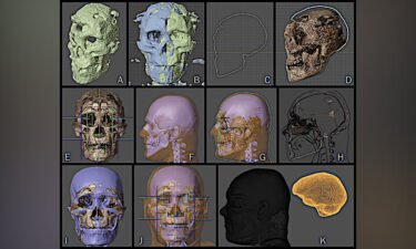 Photogrammetry is the process of extracting 3D information from photographs