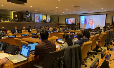 Maria Lvova-Belova addresses the United Nations meeting by video on April 5.