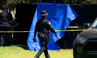 Police work the scene of a stabbing in Davis on April 27.