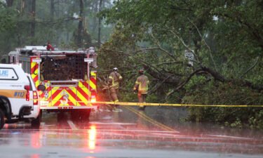 Trees were toppled and roads blocked Sunday following a tornado in Virginia Beach