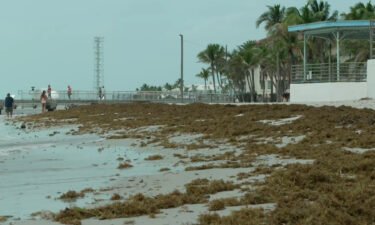 Piles of sargassum seaweed are accumulating on the beaches of Florida's Key West. Scientists say the seaweed is expected to increase even more over the next few months.