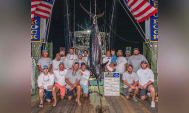 The crew of Sensation pose with the massive blue marlin that was disqualified by fishing tournament officials.