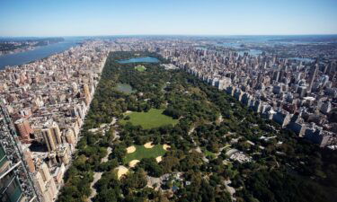 A dog was stabbed in New York’s Central Park on June 17.