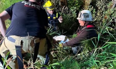 Firefighters rescued a person down a 30-foot embankment in Vernonia.