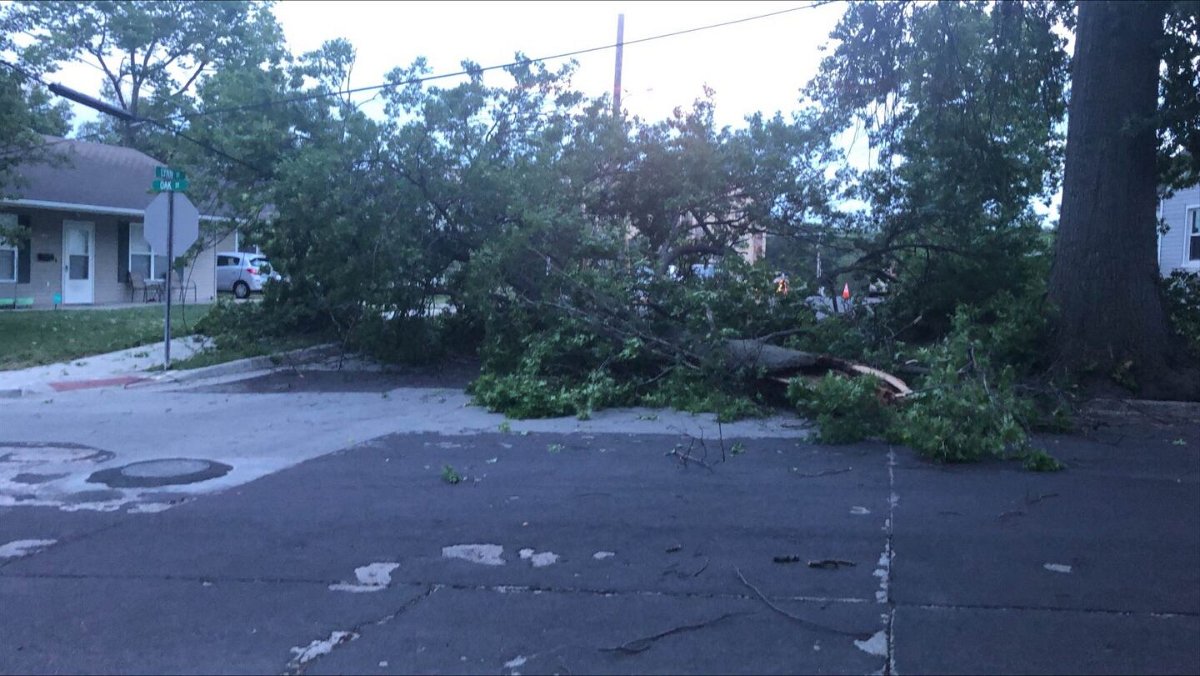 A large tree on Friday blocks a road in central Columbia.