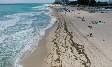 Beachgoers walk past seaweed that washed ashore on March 16 in Fort Lauderdale