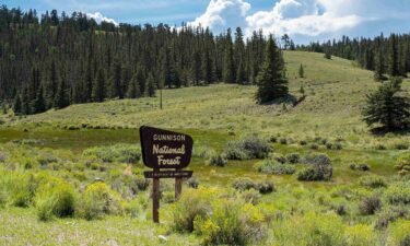 A hiker found the first body Sunday in a remote area of the Gunnison National Forest