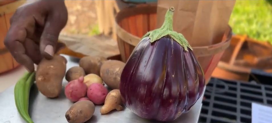 <i></i><br/>Urban farmers are partnering with Detroit-based start-up Veggie Express to bring fresh foods to neighborhoods throughout the city.